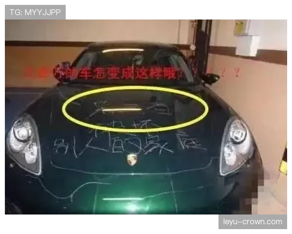 唐佳豪开豪车拎塑料袋买菜,这反差直接把我笑喷 唐佳豪开豪车拎塑料袋买菜,这反差直接把我笑喷