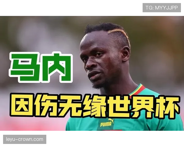塞内加尔能否再创奇迹?2026世界杯出线前景与阵容预测 塞内加尔能否再创奇迹?2026世界杯出线前景与阵容预测