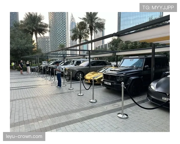柳雅慧又换新豪车了？普通人梦都不敢做的车库小秘密曝光！